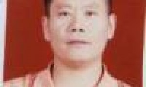 陈佳
