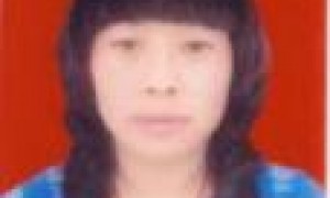 崔金兰
