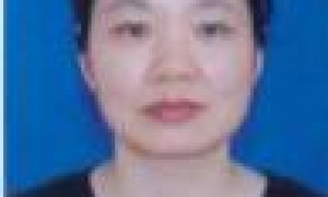 陈洁梅