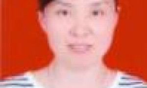 豆会芹