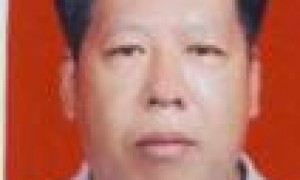 王子勤