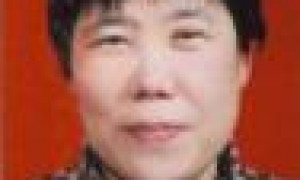 白苏强