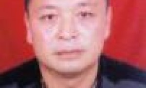 秦新孝