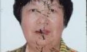陈康英