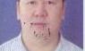 程鑫