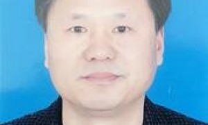 陶根