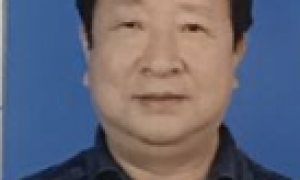 白苗臣