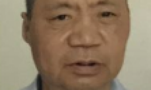 许效林