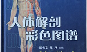 人体解剖彩色图谱