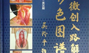 中医微创入路解剖彩色图谱