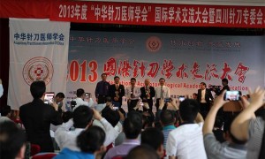 针刀医师学会2013年国际学术交流大会开幕式