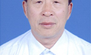 王晓峰