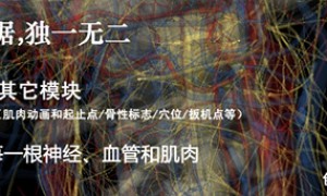 3DBody三维立体解剖软件(新)