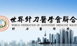 针刀医师学会华南分会11月定于广州成立